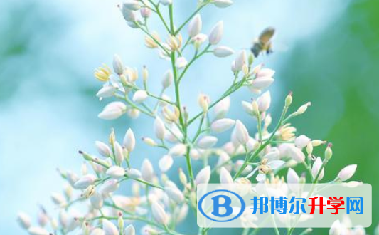 2021年商洛中考重點(diǎn)線上線率