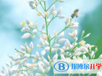 2021年商洛中考重點(diǎn)線上線率