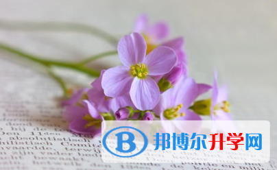 2021年秦皇島中考特長(zhǎng)生招生簡(jiǎn)章