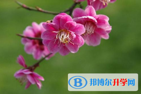 2021年秦皇島中考網(wǎng)上報(bào)名模擬