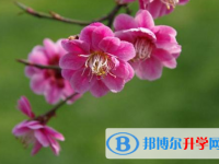 2021年秦皇島中考網(wǎng)上報(bào)名模擬