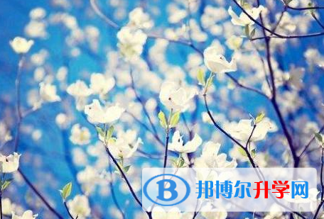 2021年秦皇島中考網(wǎng)上報(bào)名