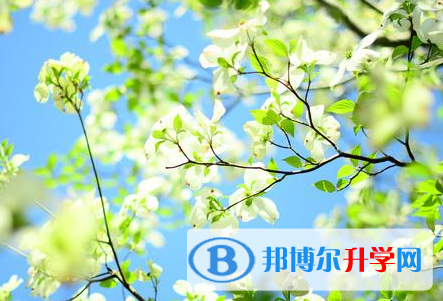 2021年秦皇島中考網(wǎng)登錄