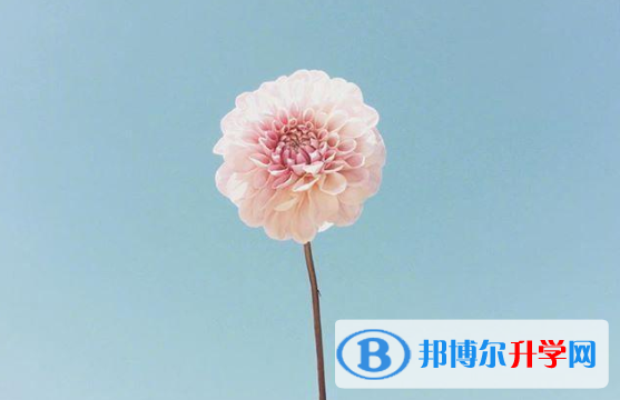 2021年唐山中考報(bào)名網(wǎng)站登錄