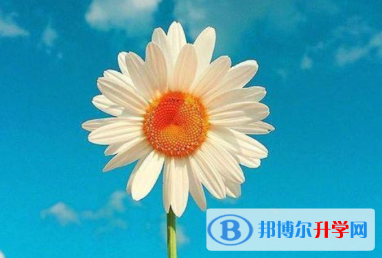 2021年唐山中考報(bào)名網(wǎng)站是什么