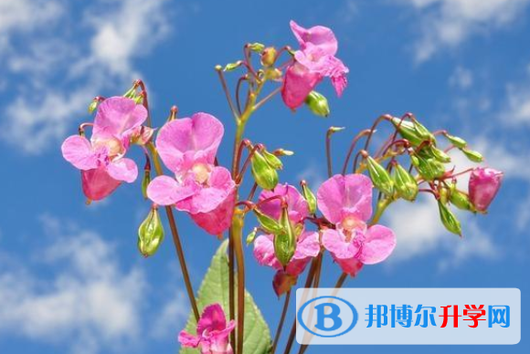 2021年唐山中考報(bào)名網(wǎng)址