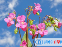 2021年唐山中考報(bào)名網(wǎng)址