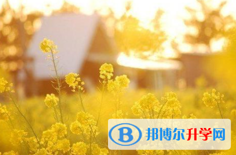 2021年秦皇島中考招辦電話