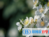 2021年秦皇島中考重點(diǎn)線