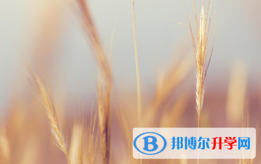 2021年秦皇島中考志愿怎么填報(bào)