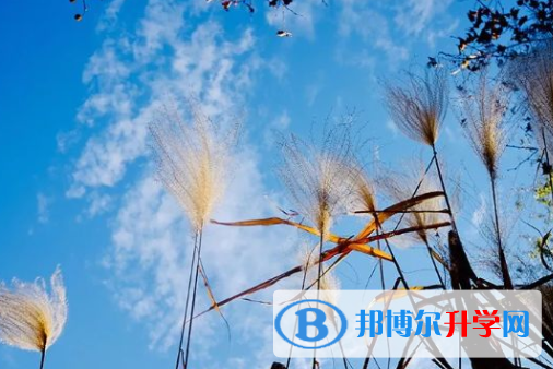 2021年唐山中考志愿填報(bào)網(wǎng)址