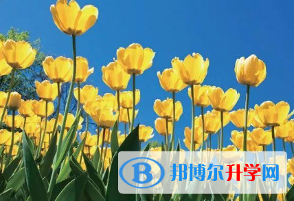 2021年唐山中考報(bào)考攻略