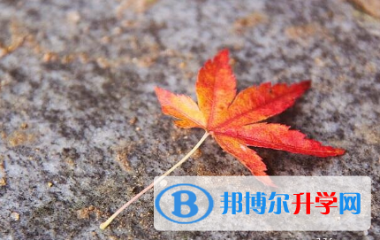 2021年唐山中考報(bào)名系統(tǒng)