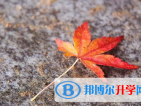 2021年唐山中考報(bào)名系統(tǒng)