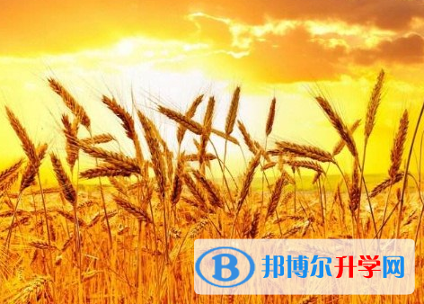 2021年邯鄲中考可以報(bào)哪些學(xué)校