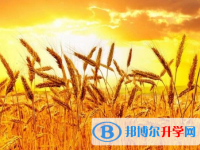 2021年邯鄲中考可以報(bào)哪些學(xué)校