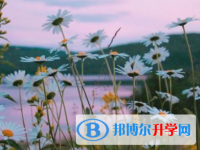 邯鄲2021年中考填志愿的網(wǎng)站