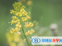 邯鄲2021年中考網(wǎng)上報(bào)考信息平臺