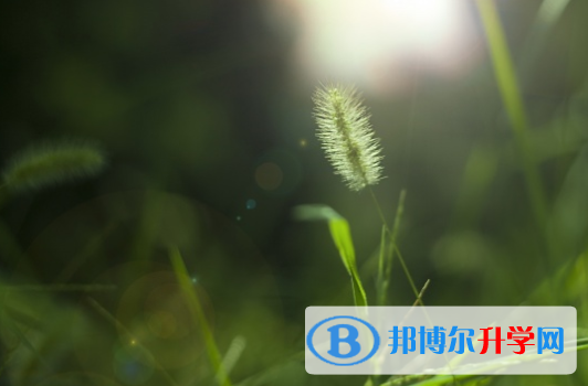 邯鄲2021年中考預(yù)估重點(diǎn)線