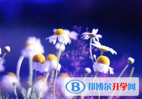 邯鄲2021年中考志愿官網(wǎng)