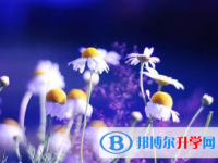 邯鄲2021年中考志愿官網(wǎng)