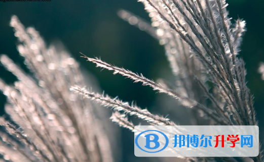 邯鄲2021年中考志愿怎么填報(bào)