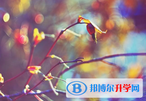 邯鄲2021年中考自主招生報(bào)名有哪些學(xué)校