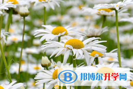 保定2021年中考報考學(xué)校名單