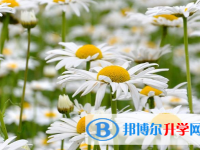 保定2021年中考報(bào)考學(xué)校名單