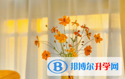 保定2021年中考的報(bào)名號(hào)是什么