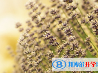 保定2021年中考報(bào)名網(wǎng)站登錄