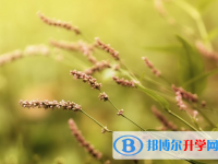 保定2021年中考報(bào)名網(wǎng)站是什么