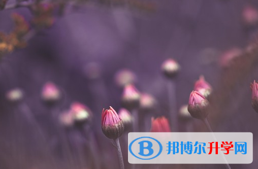 保定2021年中考報名網(wǎng)址