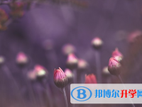 保定2021年中考報(bào)名網(wǎng)址