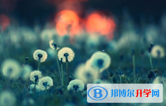 保定2021年中考報(bào)考志愿表