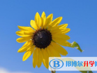 保定2021年中考報(bào)考人數(shù)