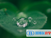 保定2021年中考報(bào)考指南