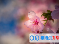 保定2021年中考考點(diǎn)有哪幾個