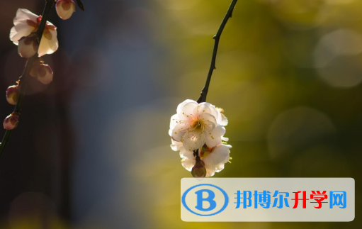 保定2021年中考錄取報(bào)名網(wǎng)