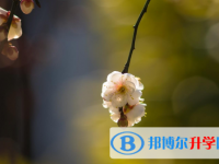 保定2021年中考錄取報(bào)名網(wǎng)