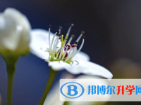 保定2021年中考志愿怎么填報(bào)