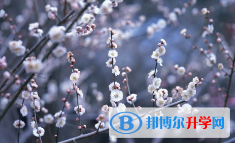 保定2021年中考重點(diǎn)線預(yù)測