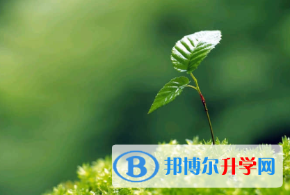 唐山2021年中考網(wǎng)上報名系統(tǒng)