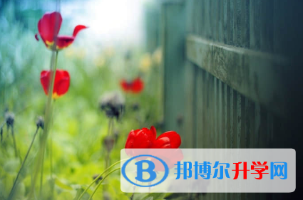 秦皇島2021年中考報(bào)名