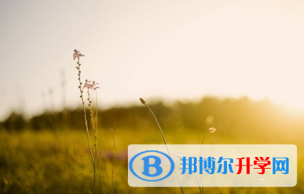 秦皇島2021年中考的統(tǒng)招和調(diào)劑說明