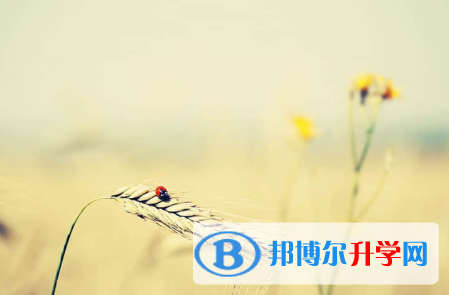 秦皇島2021年中考有不有補(bǔ)錄