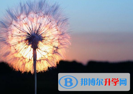 邯鄲2021年中考沒考好可以復讀嗎