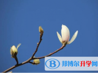 秦皇島2021年中考報(bào)名自薦信怎么寫(xiě)