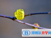 秦皇島2021年如果中考沒(méi)考上讀什么好