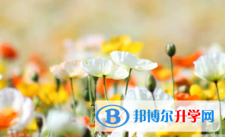 秦皇島2021年中考報(bào)名網(wǎng)站是什么